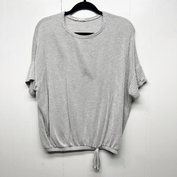 Tiffany & Grey Short Sleeve Ribbed Gray Top Women's Size XL Petite - Picture 1 of 11